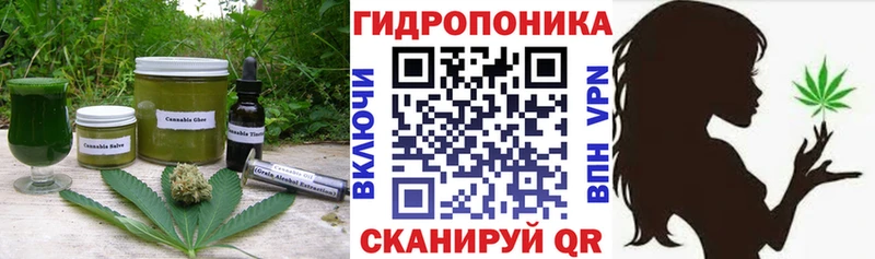где найти наркотики  Лермонтов  Еда ТГК марихуана 