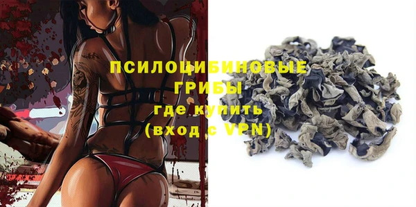 сатива Нея