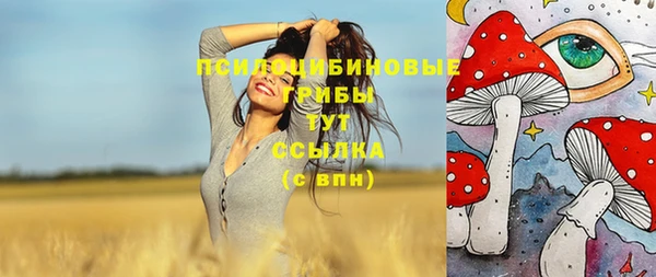 сатива Нея