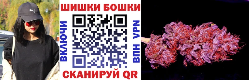 МЕГА tor  наркотики  Лермонтов  Шишки марихуана план 